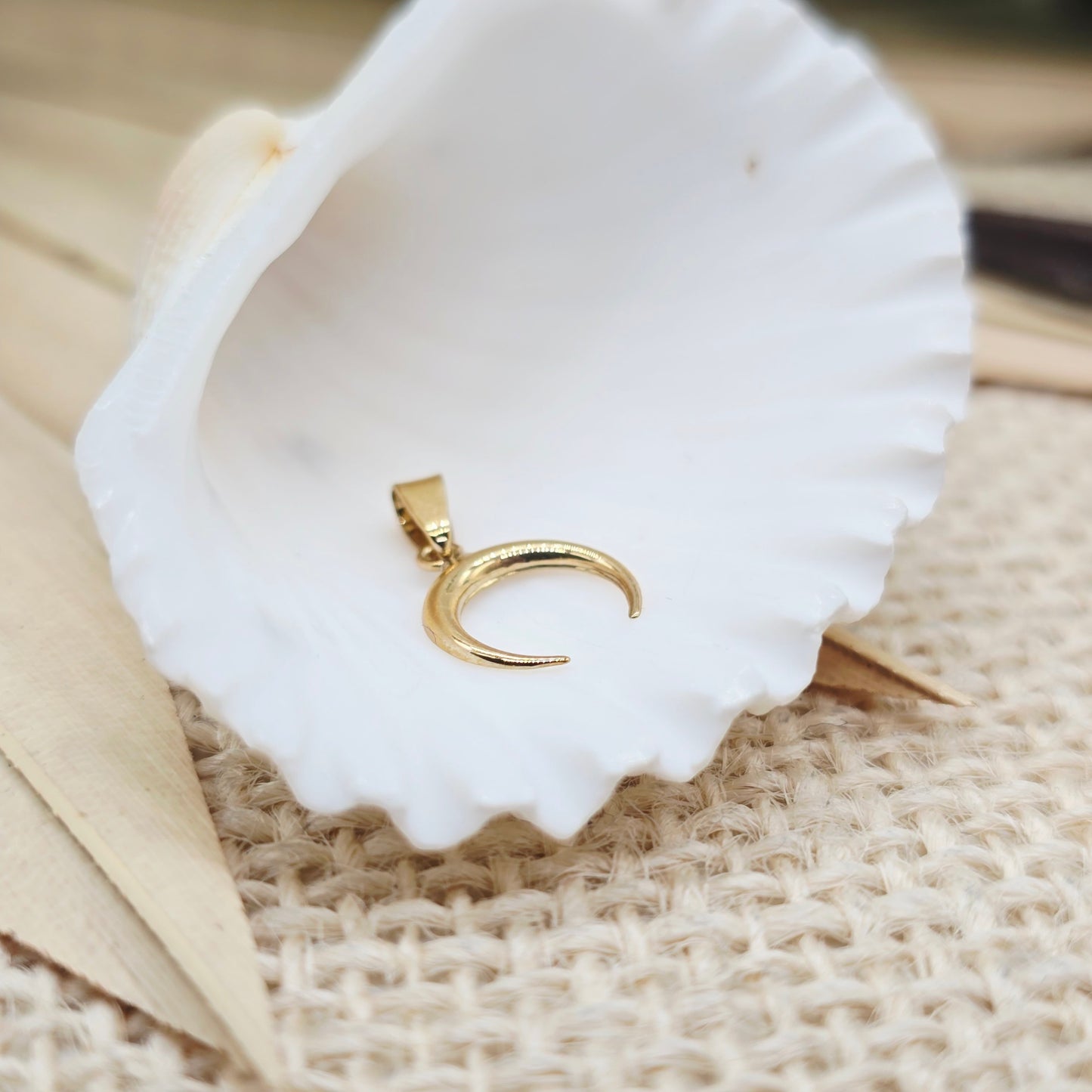 Anhänger Gold 375 9kt Mond Gr: 15*9mm